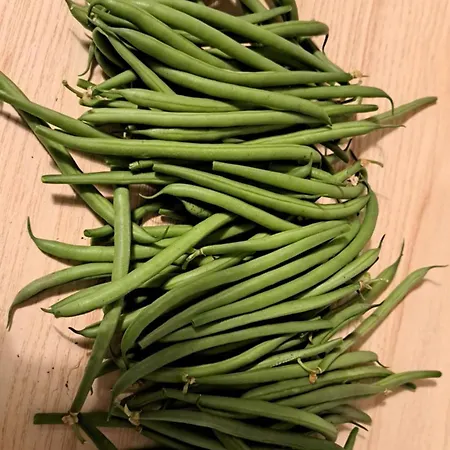 Penzion Alba Mandra Capreria