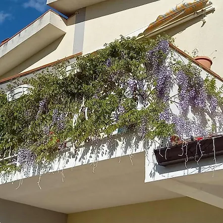 Alba 게스트하우스 Mandra Capreria