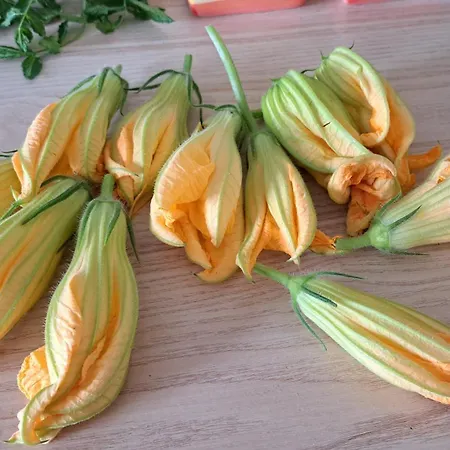 Alba 게스트하우스 Mandra Capreria